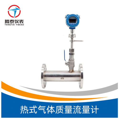 <b>熱式氣體質(zhì)量流量計(jì)</b> <b>熱式氣體質(zhì)量流量計(jì)</b>